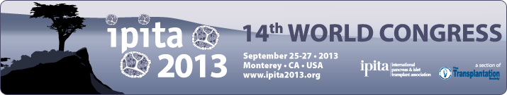 ipita_2013